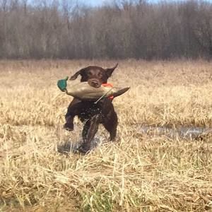 Meet your Posher, Rob